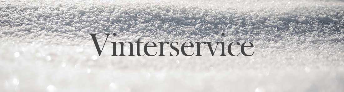 header-vinter
